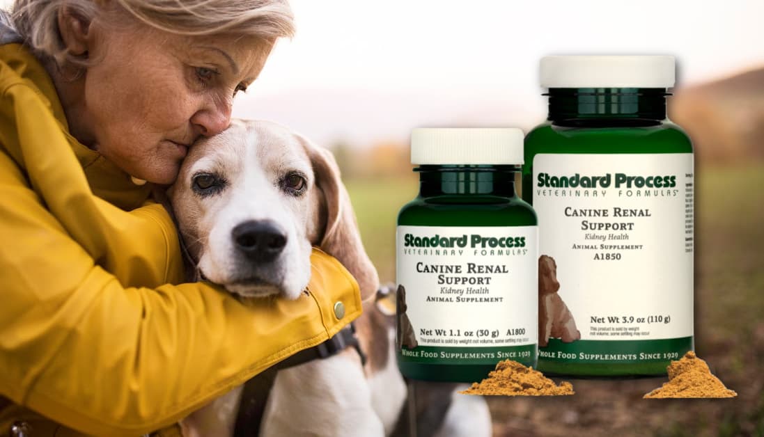 Standard Process Canine Renal Support Holistic Vet's Review