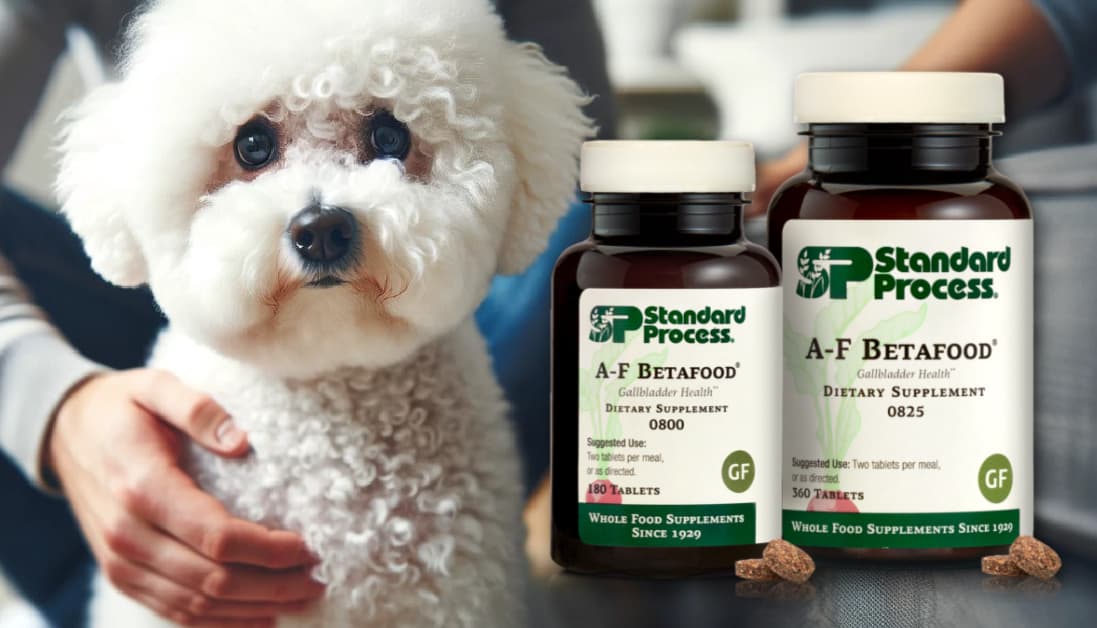 A F Betafood by Standard Process for Dogs Veterinary Advice on Liver Health