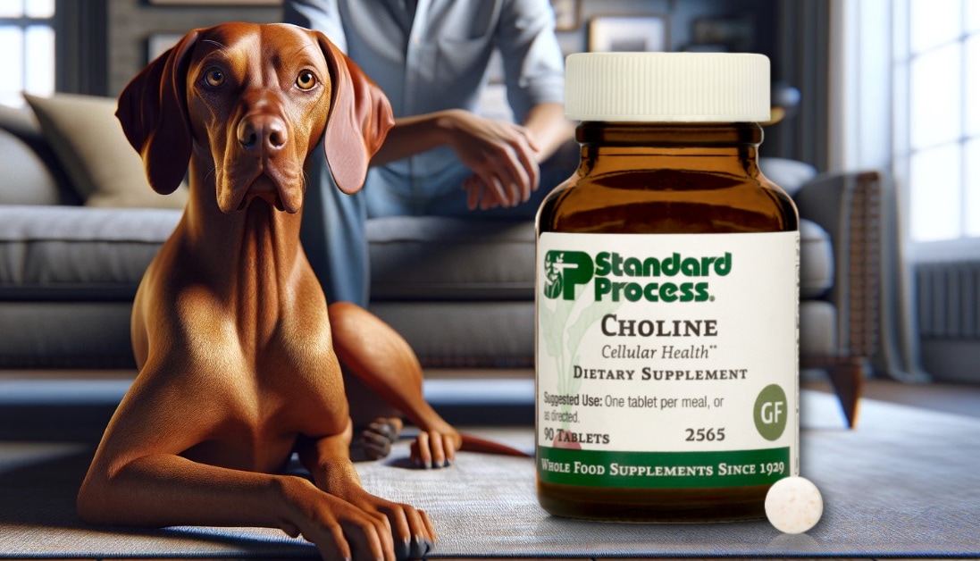 Choline by Standard Process for Dogs Expert Veterinary Insights on