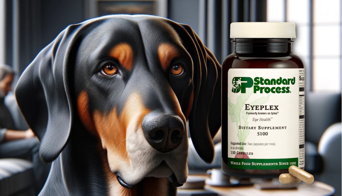 Eyeplex, formerly known as Iplex® by Standard Process for Dogs Vet
