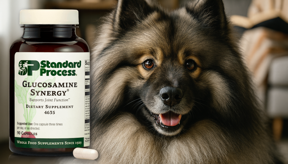 Glucosamine Synergy® for Dogs: Holistic Vet Joint Care & Support