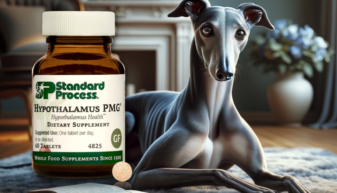 Hypothalamus PMG® by Standard Process for Dogs A Veterinarian’s Guide
