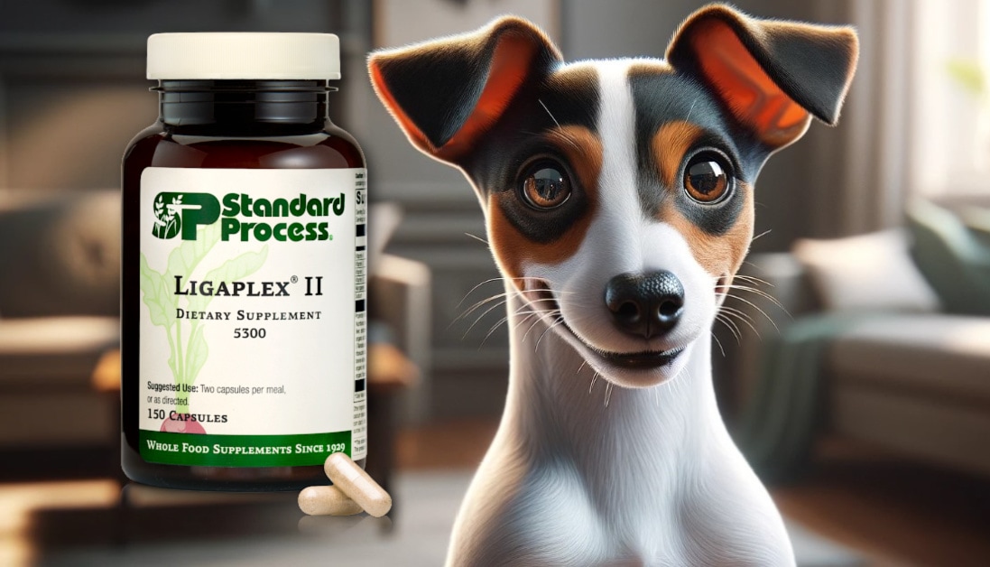 Ligaplex® II by Standard Process for Dogs Expert Vet Advice on Connective Tissue and Joint Support