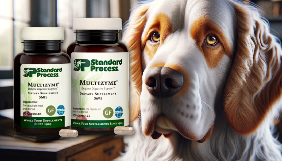 Multizyme® by Standard Process for Dogs for Digestive