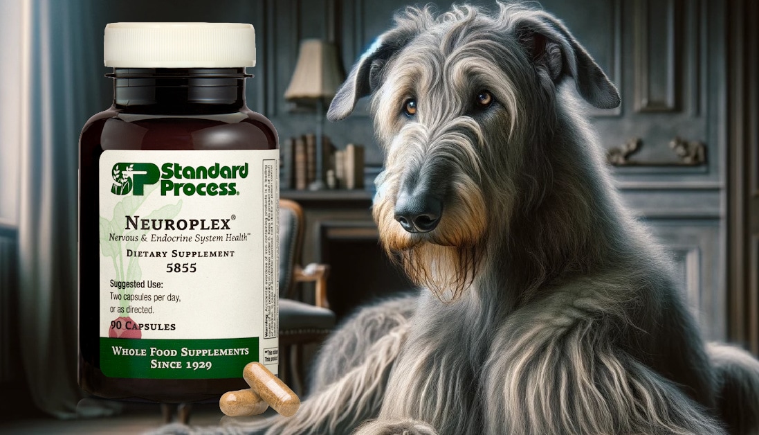 Neuroplex® by Standard Process for Dogs A Veterinarian's Guide to
