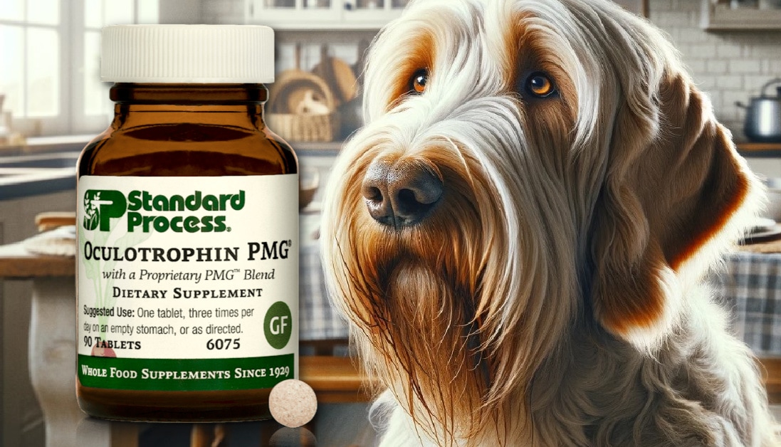 Oculotrophin PMG® by Standard Process for Dogs Veterinary Advice for