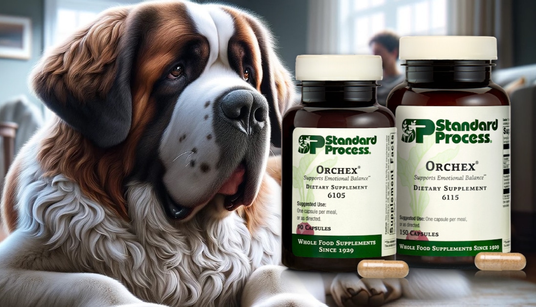 Orchex® by Standard Process for Dogs for Nervous System and Emotional Balance