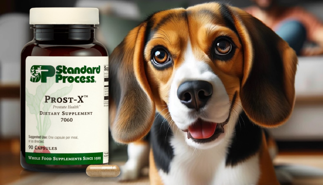 ProstX™ by Standard Process for Dogs VetEndorsed for Healthy