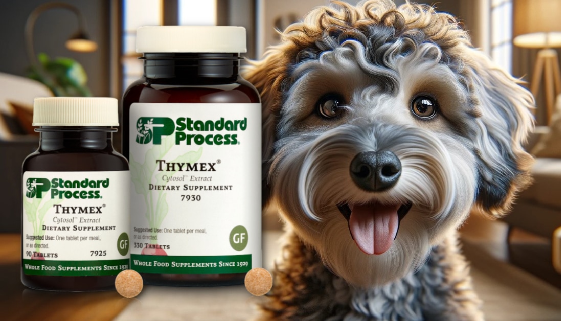 Thymex® by Standard Process for Dogs A Veterinarian's Guide to Thymus Health and Immunity