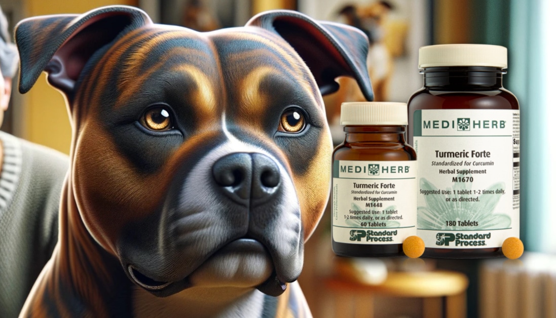 Turmeric Forte by MediHerb for Dogs Top Vet AntiInflammatory Aid