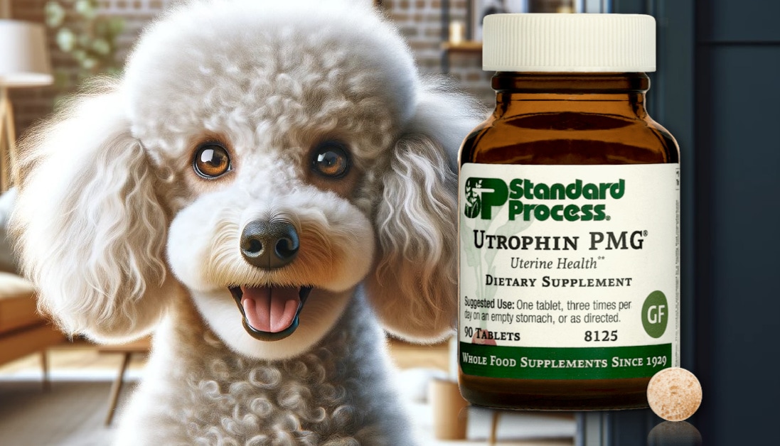 Utrophin PMG® by Standard Process for Dogs Expert Veterinary Insights