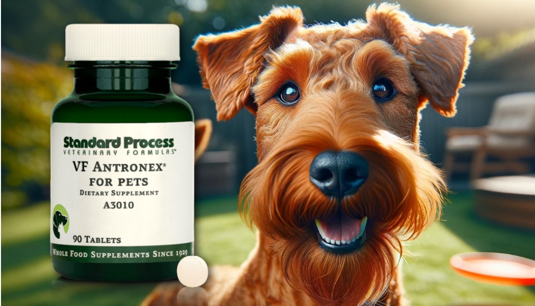 VF Antronex by Standard Process for Dogs: Veterinarian-Recommended