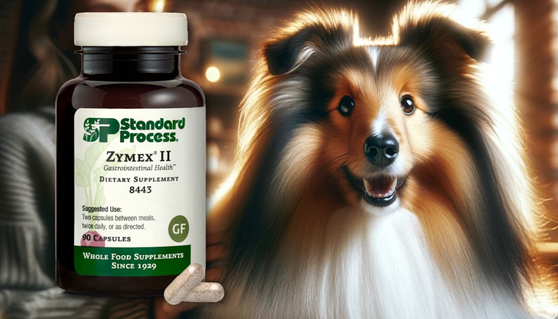 Zymex® II by Standard Process For Dogs A Veterinarian's Guide to