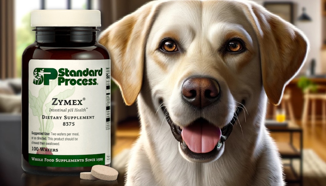 Zymex® Wafers for Dogs by Standard Process Expert Vet Insights on