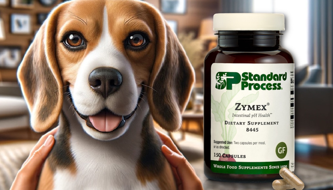 Zymex® Capsules for Dogs by Standard Process VetApproved for