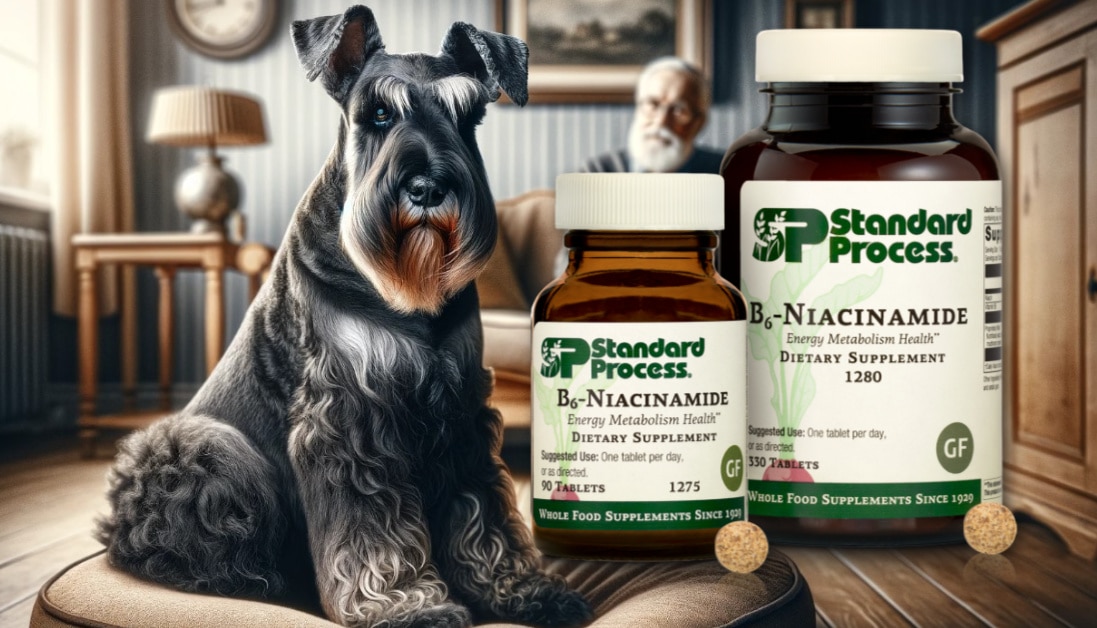 Niacin dosage for dogs shop