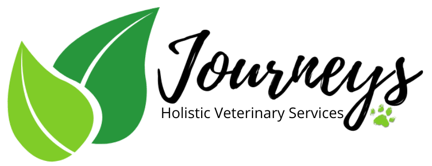 veterinarian online consultation