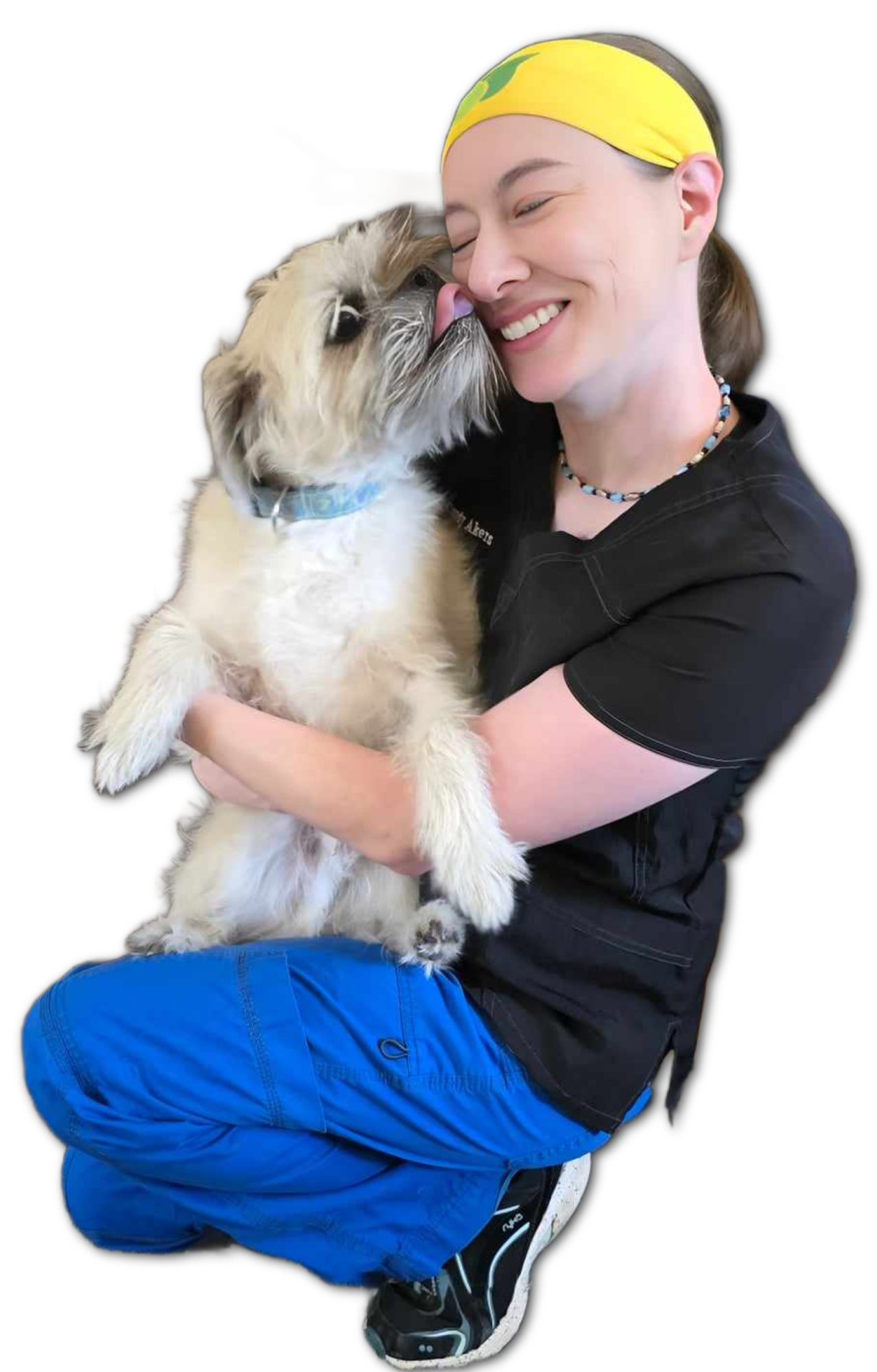 Dog Health Recovery Consultation with Dr. Candy