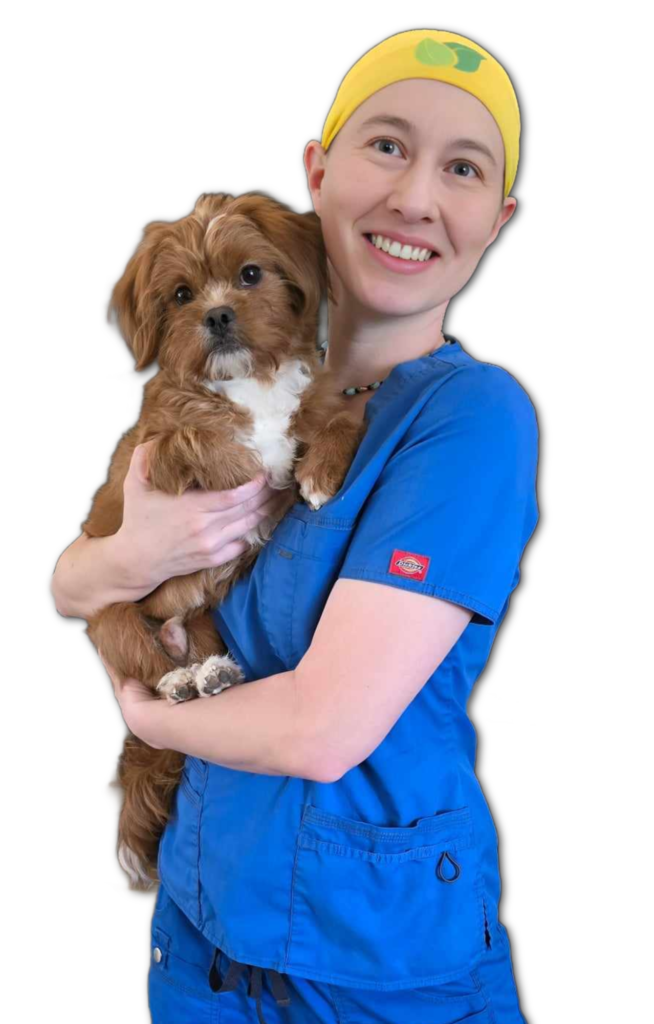 Journeys Mobile Veterinary Services