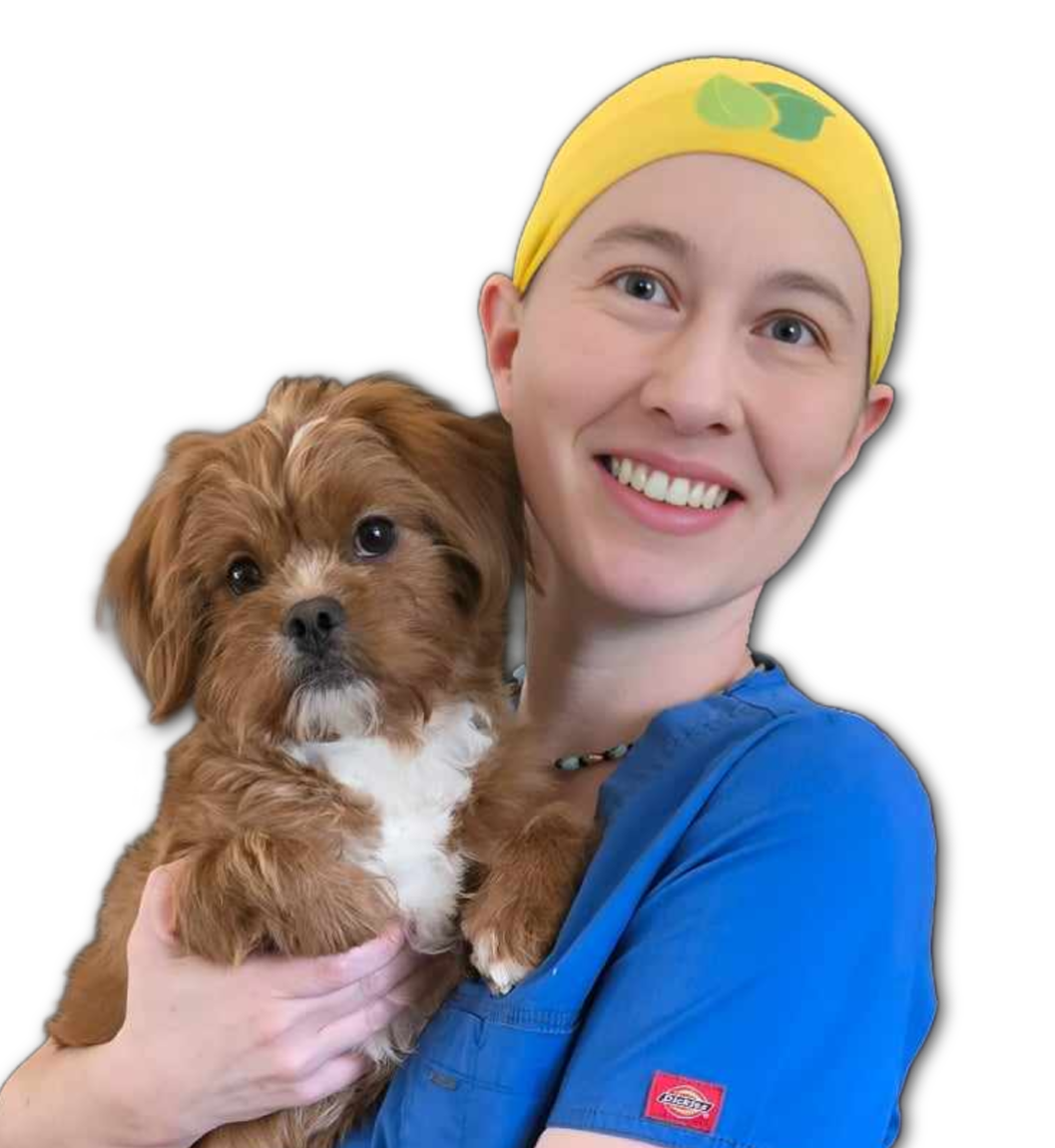 Dr. Candy Akers, DVM is a holistic veterinarian. 