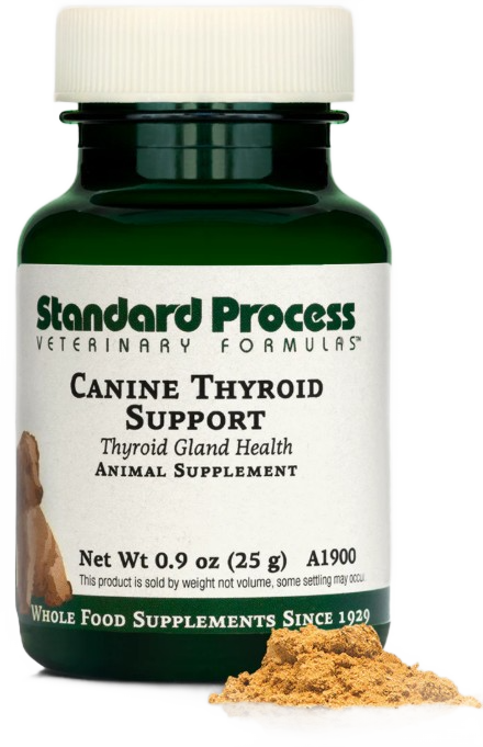 Image showcasing Canine Thyroid Support, 0.9 oz (25 g) -Standard Process Lowest Price